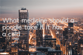 What medicine should a poodle take if it has a cold?