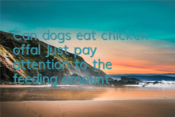TCan dogs eat chicken offal? Just pay attention to the feeding amount!