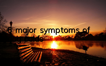 T6 major symptoms of dog colds