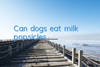 TCan dogs eat milk popsicles?