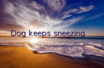 TDog keeps sneezing