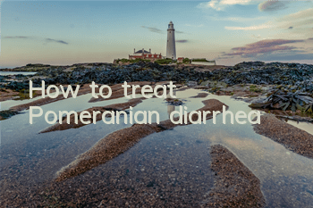 How to treat Pomeranian diarrhea