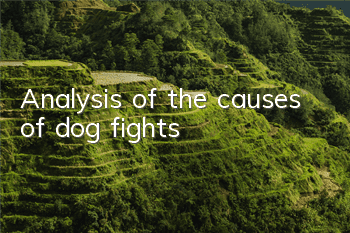 Analysis of the causes of dog fights
