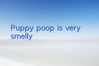 TPuppy poop is very smelly