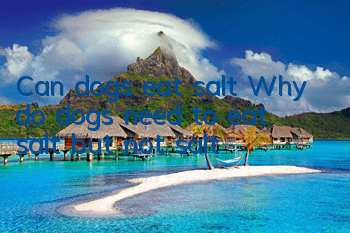 TCan dogs eat salt? Why do dogs need to eat salt but not salt?