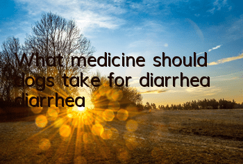 TWhat medicine should dogs take for diarrhea (diarrhea)?