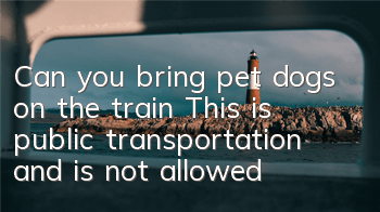 TCan you bring pet dogs on the train? This is public transportation and is not allowed!