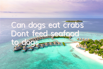 TCan dogs eat crabs? Don’t feed seafood to dogs!