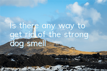 TIs there any way to get rid of the strong dog smell?