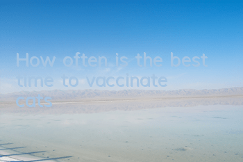How often is the best time to vaccinate cats?