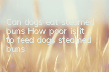Can dogs eat steamed buns? How poor is it to feed dogs steamed buns?
