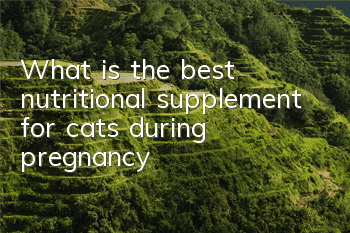 What is the best nutritional supplement for cats during pregnancy?