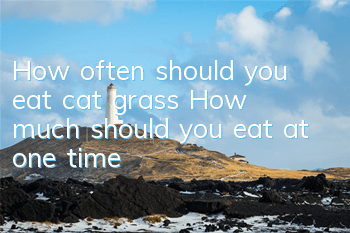 How often should you eat cat grass? How much should you eat at one time?