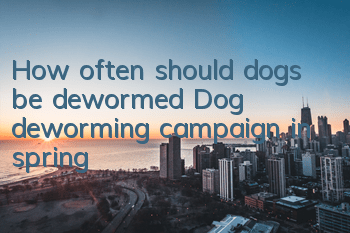 How often should dogs be dewormed? Dog deworming campaign in spring!