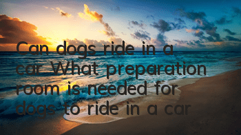 TCan dogs ride in a car? What preparation room is needed for dogs to ride in a car?