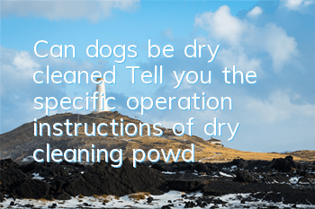 Can dogs be dry cleaned? Tell you the specific operation instructions of dry cleaning powder!