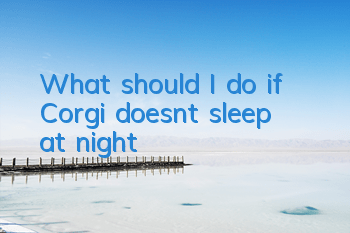 What should I do if Corgi doesn’t sleep at night?