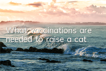 TWhat vaccinations are needed to raise a cat?