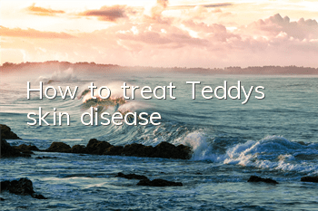 THow to treat Teddy’s skin disease