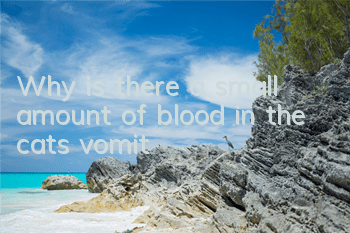 TWhy is there a small amount of blood in the cat's vomit?