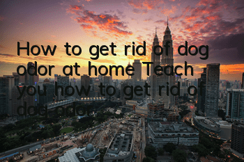 THow to get rid of dog odor at home? Teach you how to get rid of dog odor!