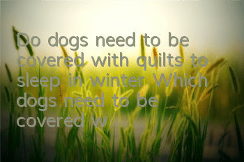 Do dogs need to be covered with quilts to sleep in winter? Which dogs need to be covered with quilts?