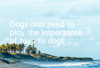 Dogs also need to play, the importance of toys to dogs!