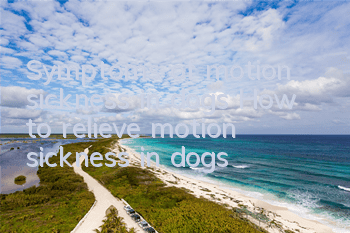 Symptoms of motion sickness in dogs How to relieve motion sickness in dogs?