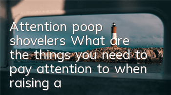TAttention, poop shovelers! What are the things you need to pay attention to when raising a dog in spring?