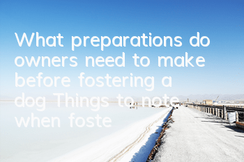TWhat preparations do owners need to make before fostering a dog? Things to note when fostering a dog!