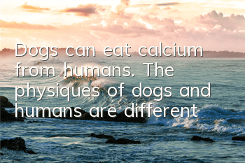 TDogs can eat calcium from humans. The physiques of dogs and humans are different!