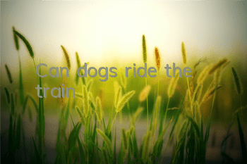 TCan dogs ride the train?