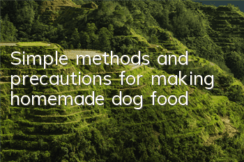 Simple methods and precautions for making homemade dog food