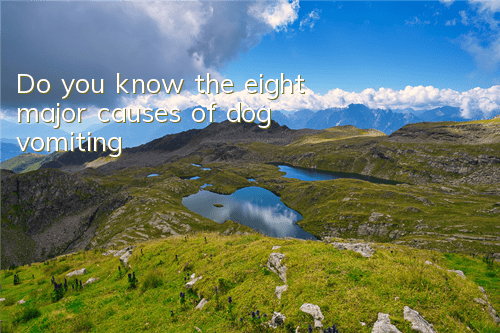 TDo you know the eight major causes of dog vomiting?