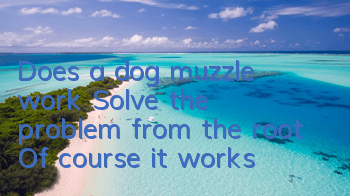 Does a dog muzzle work? Solve the problem from the root! Of course it works!