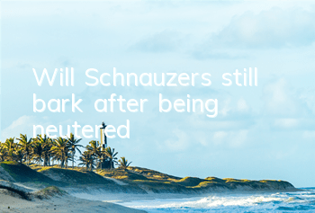 TWill Schnauzers still bark after being neutered?