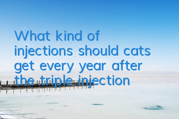 TWhat kind of injections should cats get every year after the triple injection?
