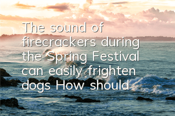 TThe sound of firecrackers during the Spring Festival can easily frighten dogs! How should owners help their dogs adapt to the sound of firecrackers?