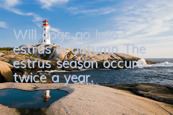 TWill dogs go into estrus in autumn? The estrus season occurs twice a year.
