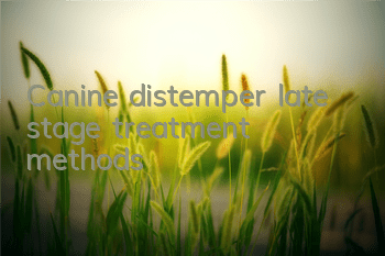 TCanine distemper late stage treatment methods