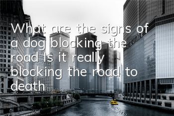 TWhat are the signs of a dog blocking the road? Is it really blocking the road to death?