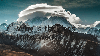 Why is the dog's limbs weak?