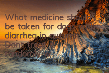 What medicine should be taken for dogs with diarrhea in autumn? Don’t treat it randomly without knowing it clearly!