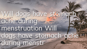 Will dogs have stomach ache during menstruation? Will dogs have stomach ache during menstruation?