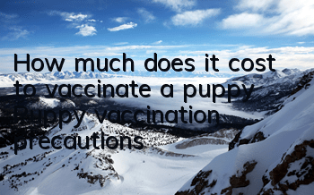 THow much does it cost to vaccinate a puppy? Puppy vaccination precautions