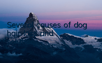 TSeveral causes of dog hair loss and solutions!