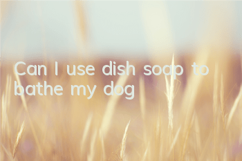 TCan I use dish soap to bathe my dog?