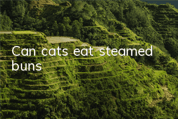 Can cats eat steamed buns?