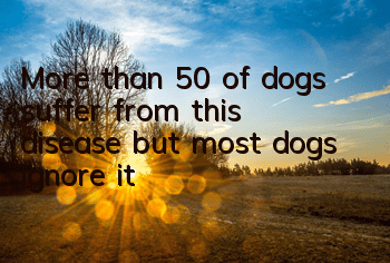 TMore than 50% of dogs suffer from this disease, but most dogs ignore it! ! !