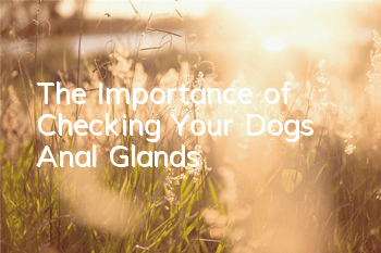 TThe Importance of Checking Your Dog’s Anal Glands